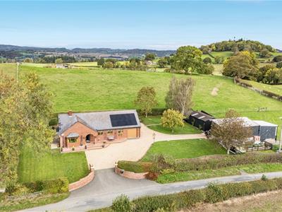 Click to view more details